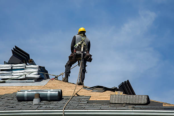 Professional Roofing technician working in Genoa, WV